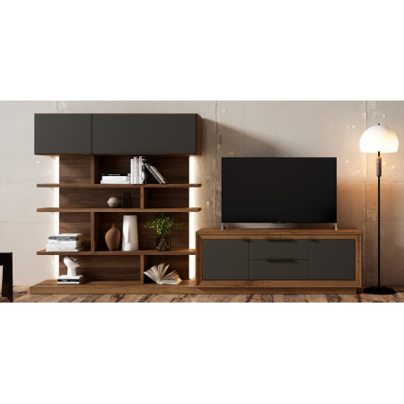 Mueble de salón con estantes y modulo TV